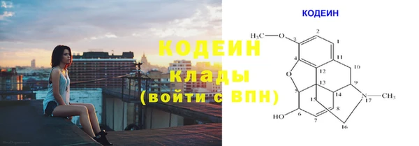 прущие грибы Абинск