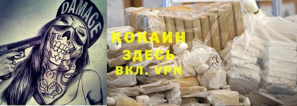 соль ск Абаза