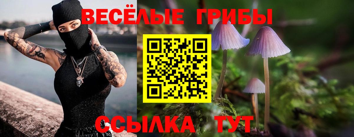 Галлюциногенные грибы мухоморы Абинск